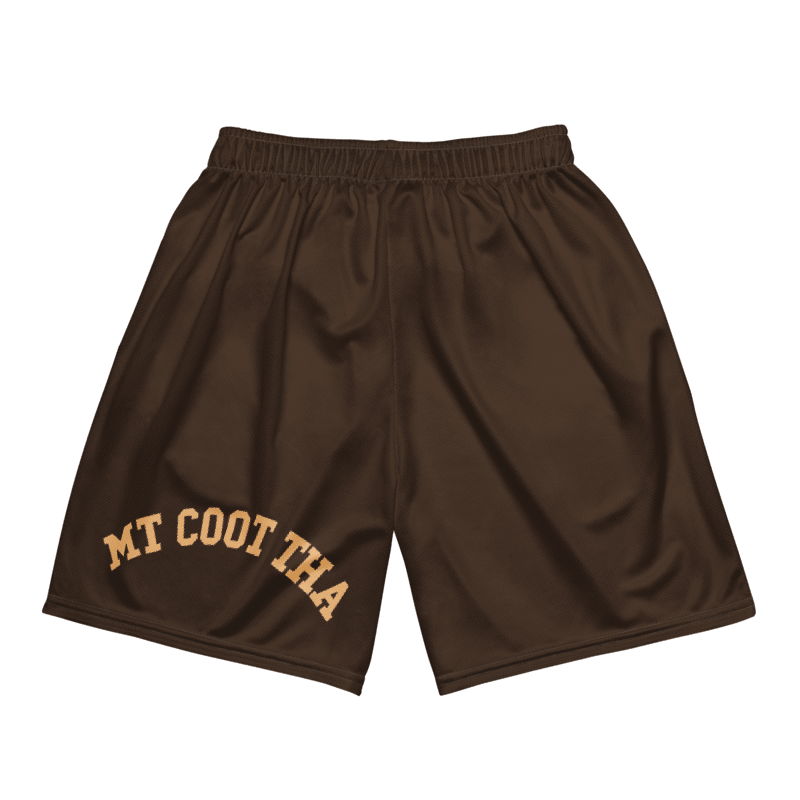 Mt Coot Tha shorts